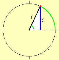 sinus
